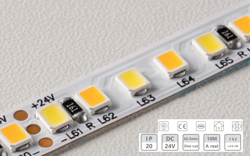 24M-8MM-192d Dual အရောင် Low-Volt-Voltage Light Strip